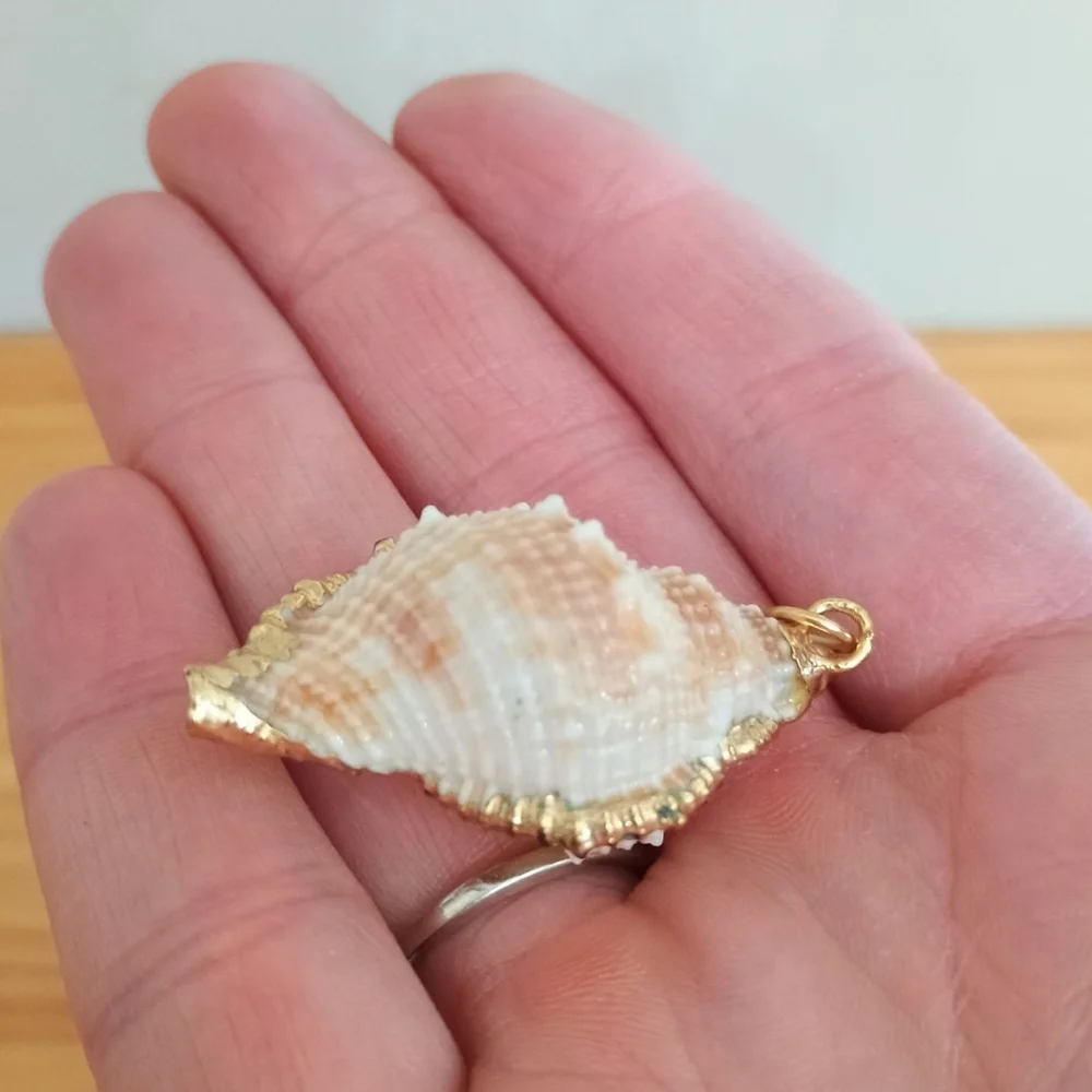 Natural Conch Seashell Pendant Gold Accented Nautical Ocean - Picture 4 of 6
